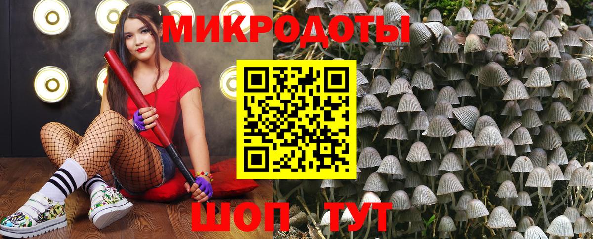 Димитровград  Псилоцибиновые грибы Magic Shrooms  дарнет шоп  Галлюциногенные грибы мицелий  Вход с VPN 