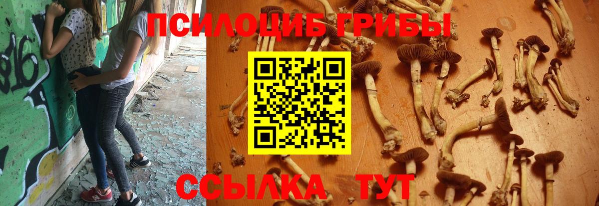 Галлюциногенные грибы прущие грибы Димитровград